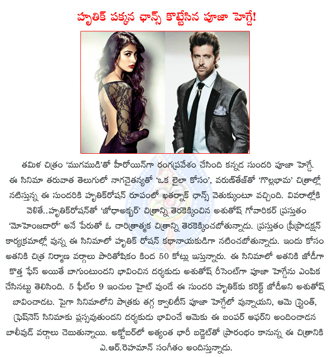 pooja hegde,hrithik roshan,ashuthosh gowariker,mohenjo daro,pooja hegde to romance hrithik in mohenjo daro,pooja hegde to romance hrithik,pooja hegde bags golden chance,pooja hegde lead opposite hrithik roshan,oka laila kosam,  pooja hegde, hrithik roshan, ashuthosh gowariker, mohenjo daro, pooja hegde to romance hrithik in mohenjo daro, pooja hegde to romance hrithik, pooja hegde bags golden chance, pooja hegde lead opposite hrithik roshan, oka laila kosam, 